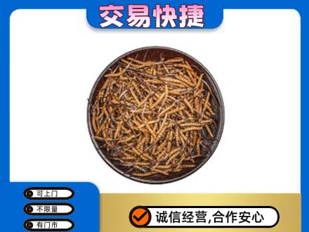 南宁市马山高价回收散虫草